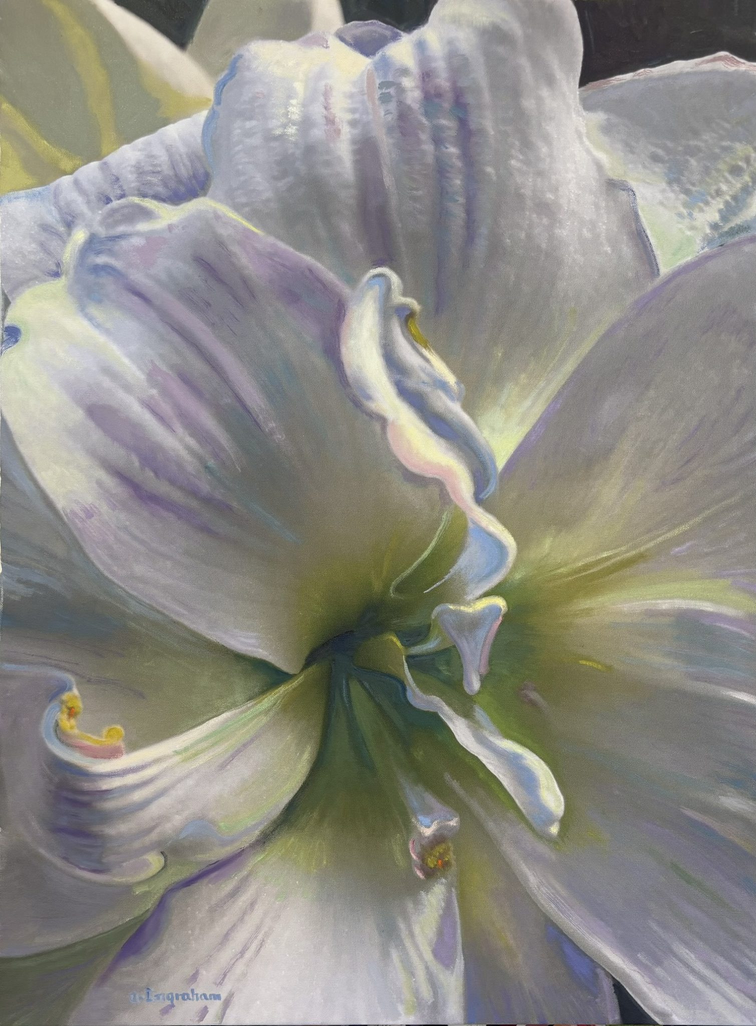 Lily artwork by Maine Artist Alice Ingraham