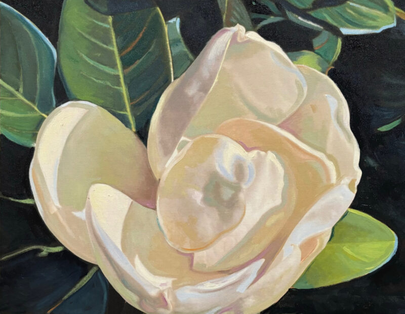 Artwork Magnolia by Alice Ingraham