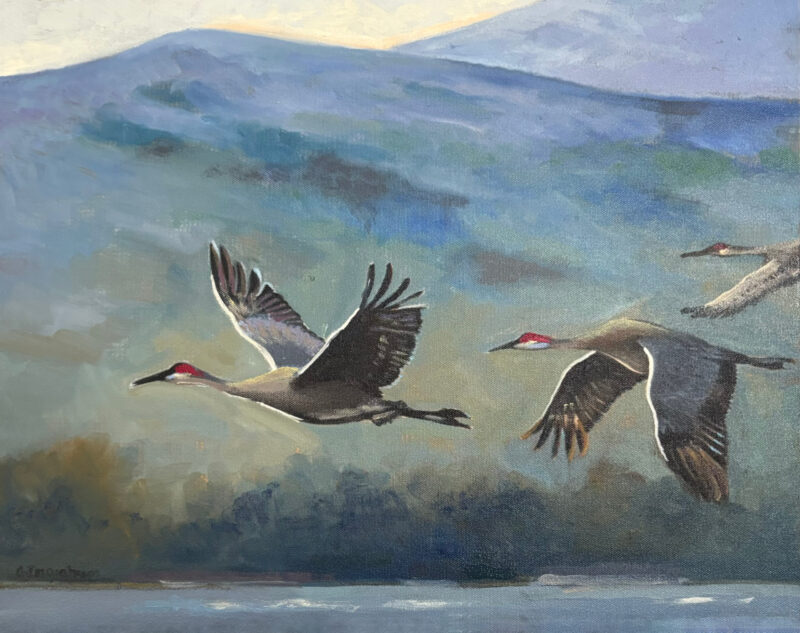 Artwork Sand Hill Cranes by Alice Ingraham